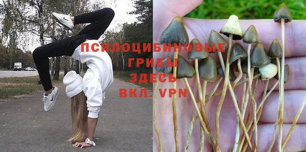 герыч Касимов