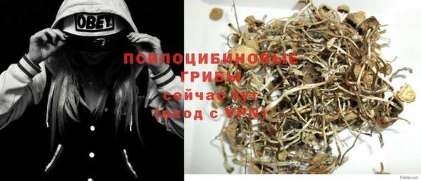 не бодяженный Карпинск