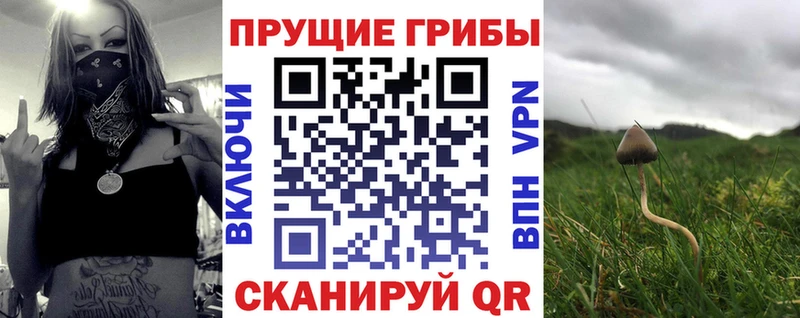 Купить закладки  Вязьма  Псилоцибиновые грибы ЛСД 