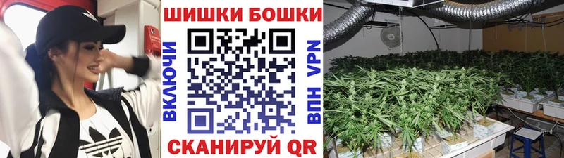 Купить  Вязьма  Каннабис ГИДРОПОН 